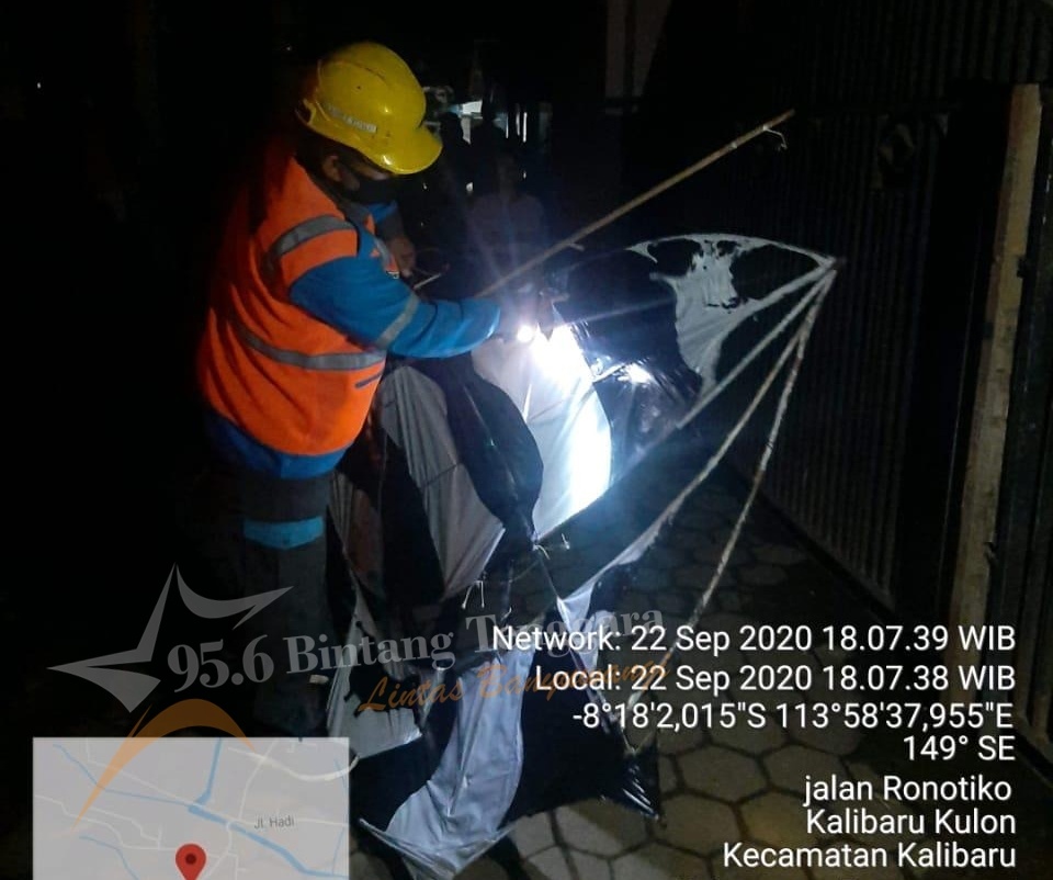 Petugas PLN mengamankan layang-layang yang mengenai instalasi listrik PLN. (Foto. Arif Putra)