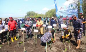 Peringati Hari Mangrove Sedunia, Banyuwangi Tanam 5000 Mangrove . (Foto. Fareh Hariyono)