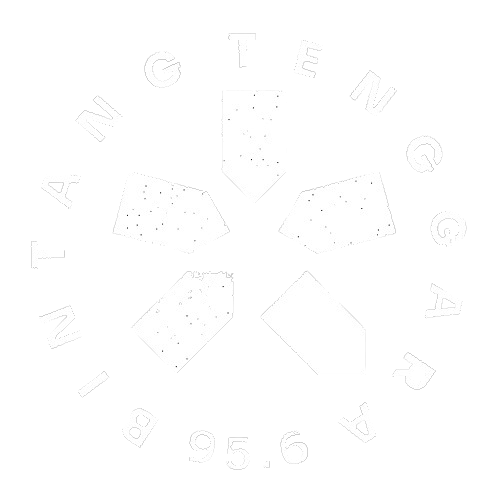 Radio Bintang Tenggara